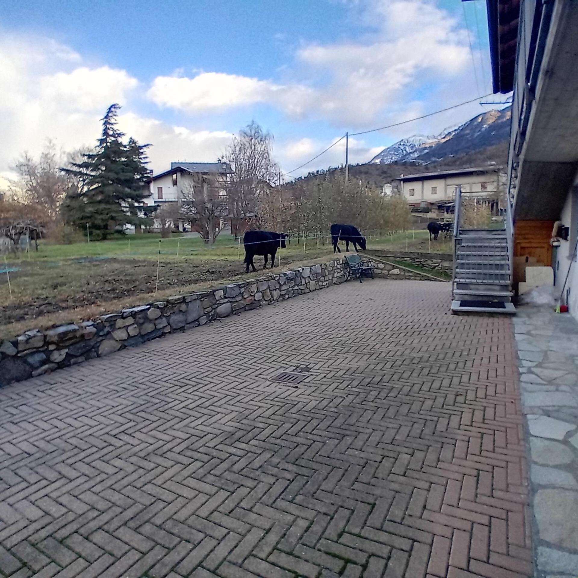 Maison Clair Vda Gressan N 0094 Аоста Стая снимка